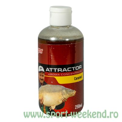 Benzar Mix - Attractor Aroma Concentrate 250ml - Caramel
