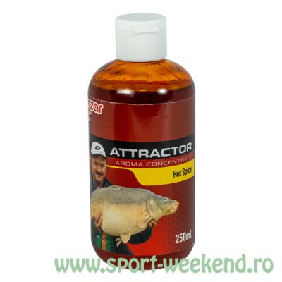 Benzar Mix - Attractor Aroma Concentrate 250ml - Hot Spice
